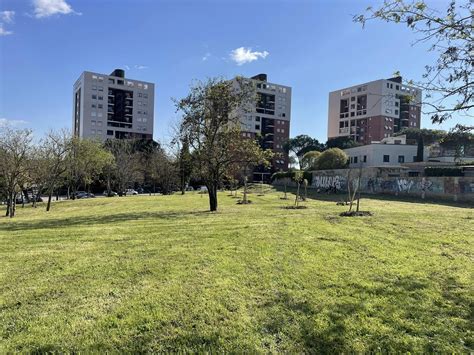 Inaugurato un bosco urbano in via Giordani. Umberti: "Il nostro
