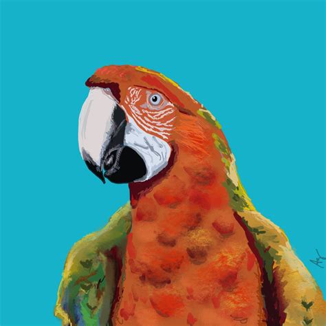 Parrot bird colorful artwork print in 2021 | Colorful artwork, Artwork prints, Hummingbird artwork