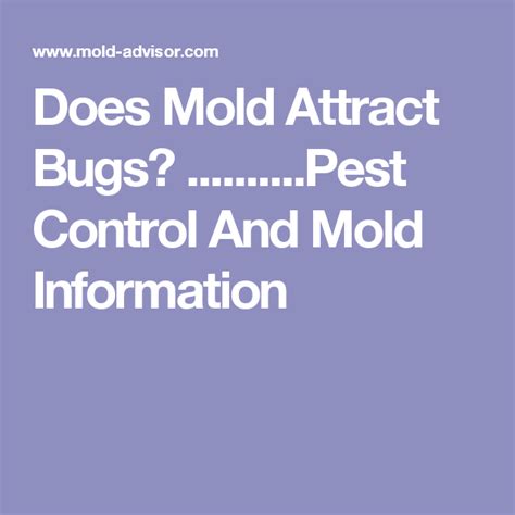 Several have the potential to be pests under high it is easy to unwisely increase the cost of insect control by not recognizing the plant's potential to. Does Mold Attract Bugs? ..........Pest Control And Mold ...
