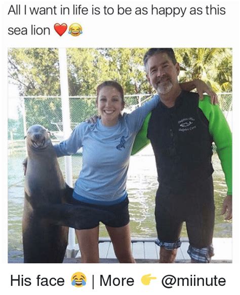 All Want In Life Is To Be As Happy As This Sea Lion His Face 😂 More 👉 Funny Meme On Me Me