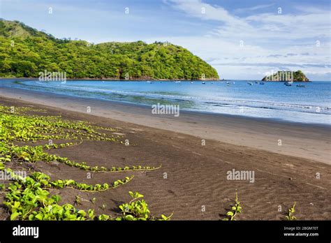 View Of A Volcanic Beach On The Pacific Coast Of Central America Playas Del Coco Costa Rica
