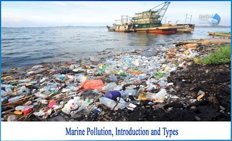 What Is Marine Pollution And Its Types Netsol Water