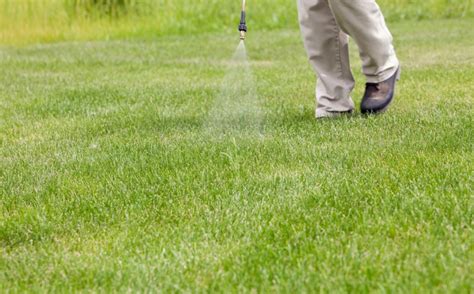 Selecting a grass type that is adapted to your part of texas, making sure your site is appropriate for the grass type you select (soil type, soil depth, amount of shade, etc.), and giving the grass the level of care that matches its intended use. Ultimate Bermuda Grass Care Guide - runtedrun