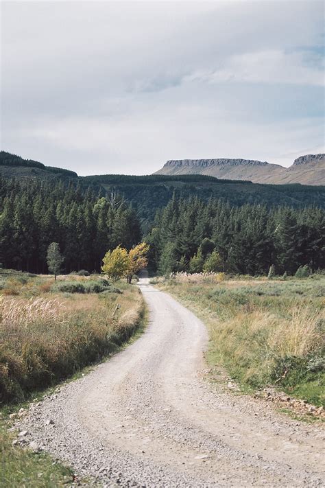 Scenic Country Dirt Road Leading To A Forest And Mountains By Stocksy