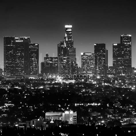 The Los Angeles Skyline From The Hollywood Hills Skyline Black And