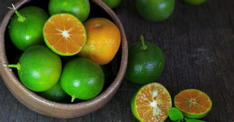 Namun, sekarang olahan susu banyak didapatkan dari sumber protein lain, salah satunya susu. Bukan Saja Penyedap Masakan, Limau Kasturi Juga Boleh Nyah ...