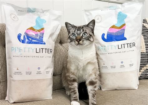 Cat Litter Subscription Reviews Prettylitter