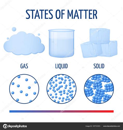 Fundamentos Estados De La Materia Con Moléculas Vectoriales Infografías