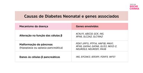 Diabetes Mellitus Neonatal Teste Da Bochechinha