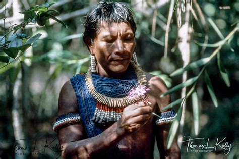kayapo tribe gorotire kayapo reserve brazilian amazon thomas l kelly