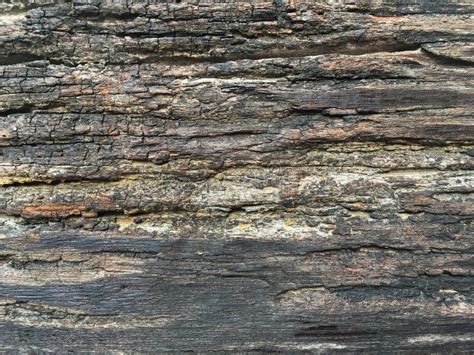 Old Broken Wood Plank Texture Stock Photo Image Of Textured Rough