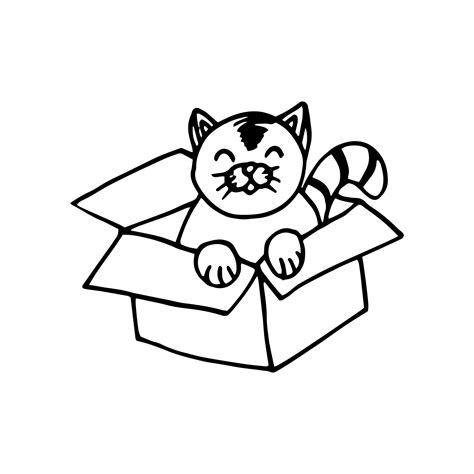 Cat In A Cardboard Box Hand Drawn In Doodle Style Line Art Nordic