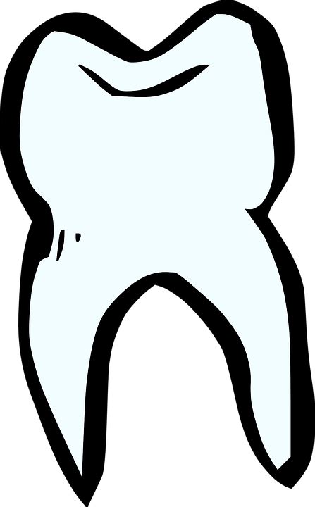 Download Tooth Dentist White Royalty Free Vector Graphic Pixabay