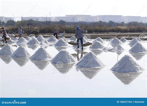 The Making Of Sea Salt In The Field Stock Photo Image Of Seawater