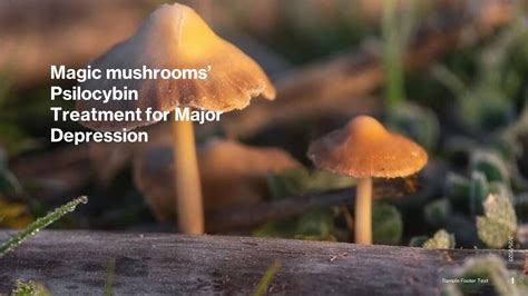 Magic Mushrooms Psilocybin Treatment For Major Depression