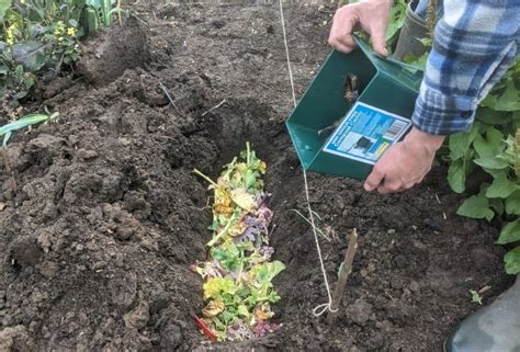 Trench Composting The Lazy Gardeners Secret To Great Soil