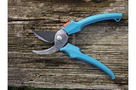 How To Clean And Sharpen Pruning Shears Landscaping Accessories