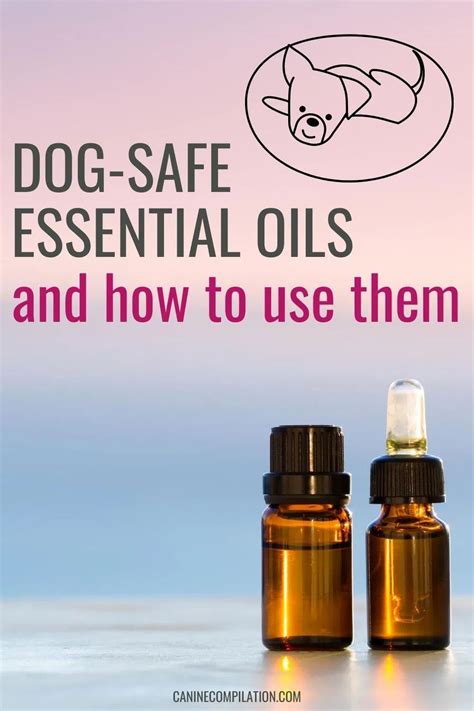 Essential Oils For Dogs Canine Compilation Essential Oils Dogs Dog