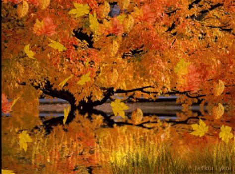 Find images of fall leaves background. Autumn Falling Leaves gif animation - See this Animated ...