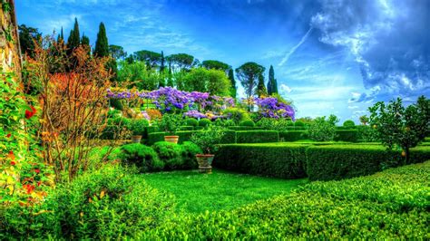 beautiful scenery garden green trees plants bushes colorful flowers under blue sky hd scenery