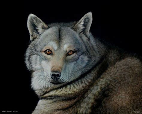 20 Beautiful And Realistic Animal Paintings By Heather Lara Animal