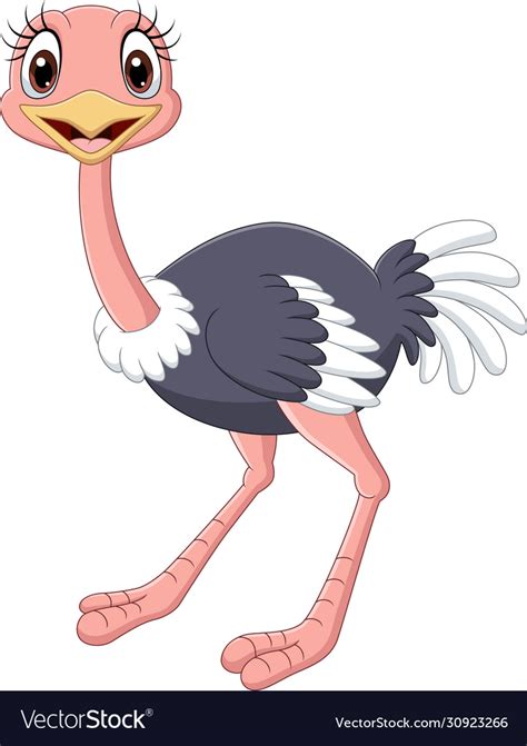 Cartoon Baby Ostrich Isolated On White Background Vector Image