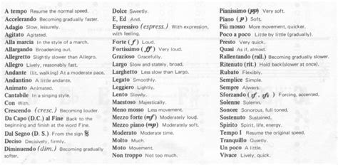 These italian expressions are all very typical, and you hear them all the time in colloquial italian. Glossary - Italian