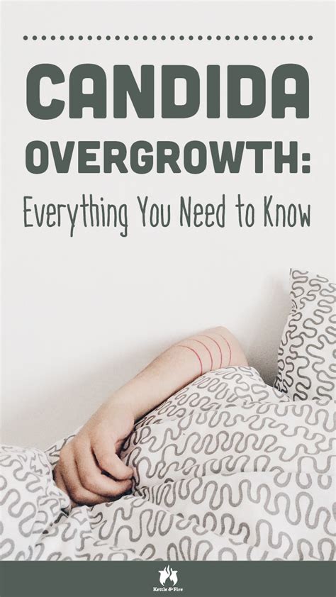 Candida Overgrowth Everything You Need To Know