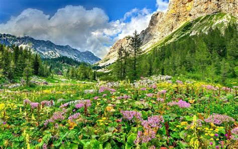 Rocky Mountain Spring Wallpapers Wallpaper Cave