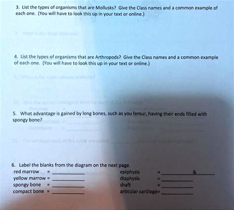 Solved List The Types Of Organisms That Are Mollusks Give The Class