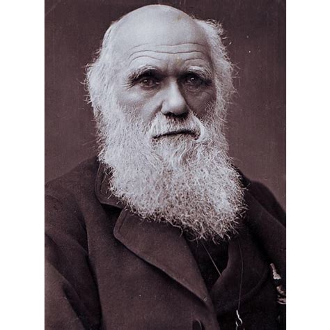 Faleceu O Biólogo Charles Darwin 1882 04 19