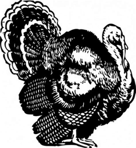 thanksgiving day turkey decal