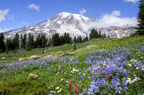 New Visit Rainier Summer Vacation Planners Are Available For Free