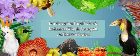 Keanekaragaman Hayati Indonesia Berdasarkan Wilayah Biogeografi Dan