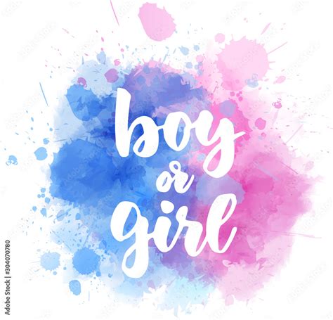 Boy Or Girl Gender Reveal เวกเตอร์สต็อก Adobe Stock