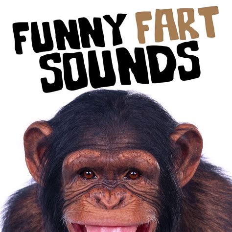 ‎fart Sound Effectsの「funny Fart Sounds」をapple Musicで