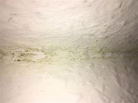 Dabei handelt es sich nicht nur um ältere bauwerke. Schimmel in der Wohnung? Staubläuse? (Mietrecht ...