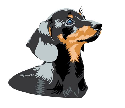 Dachshund Vector Art At Collection Of Dachshund