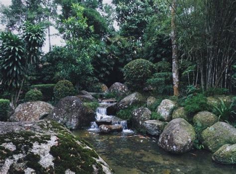 Botanical garden is a nature park situated within the japanese village of berjaya hills at bukit tinggi. Things to See in Bukit Tinggi that Feels like You've Left ...