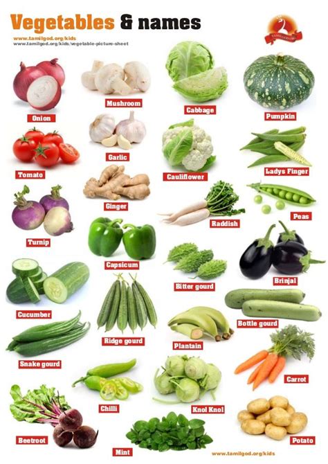 Vegetable Pictures Name Of Vegetables List Of Vegetables