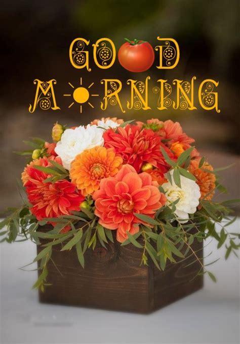 60 Most Beautiful Good Morning Images With Flowers Good Morning