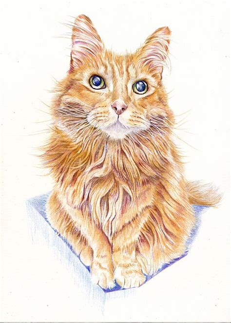 Marmalade Cat The Silent Miaow By Debra Hall In 2022 Cats