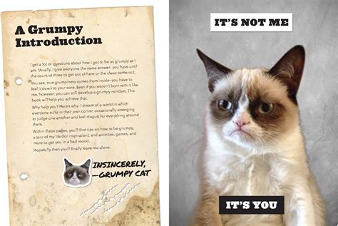 Grumpy Cat Poems