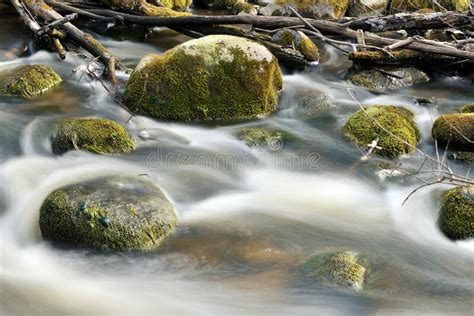 Fast Mountain River Flows In Forest Among Rocks And Mossy Stones Stock