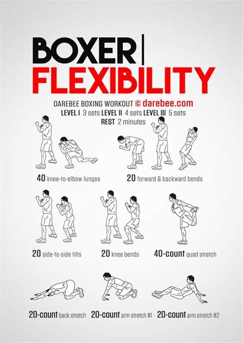 Boxer Flexibility Workout Boxer Workout Boxing Training Workout Mma