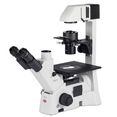 Microscope Inversé Motic Ae31 E Trinoculaire Naturoptic