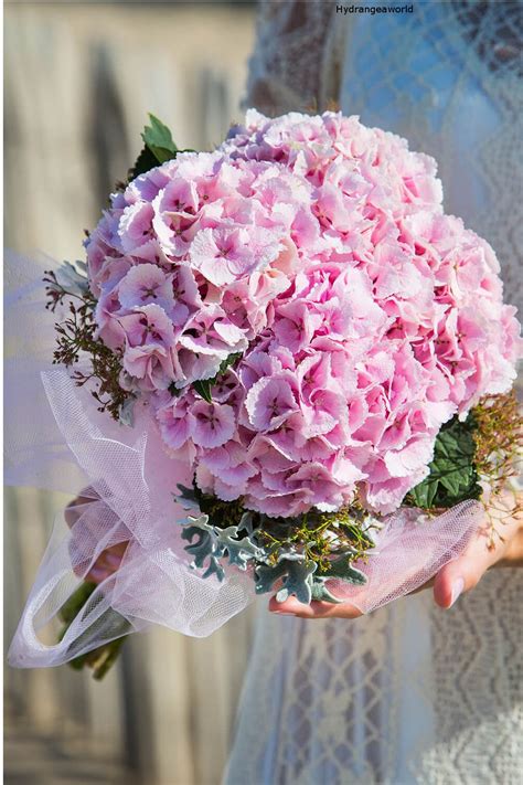 Blütenprächtig umrahmen wir den schönsten tag ihres lebens. Hortensien Strauss in Pink | Blumenstrauß hochzeit ...