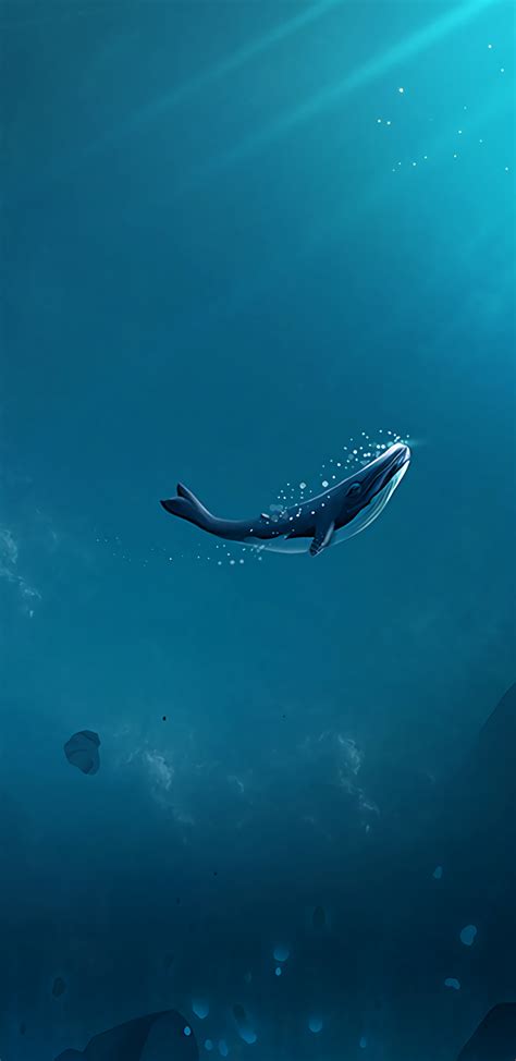 Download Samsung S8 Whale Wallpapers Bhmpics