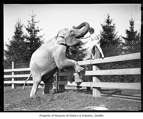 Woodland Park Zoo The Early Years