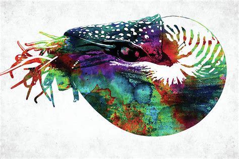 Nautilus Colorful Watercolor Art Digital Art By Mihaela Pater Pixels